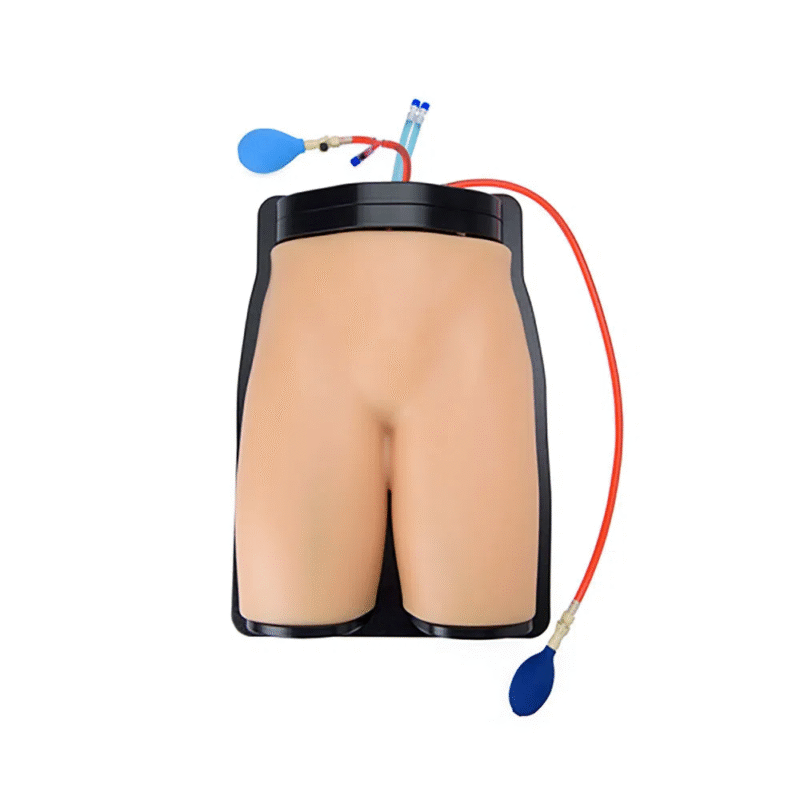 1708324027319 Gen II Femoral Vascular Access & Regional Anesthesia Ultrasound Training Model