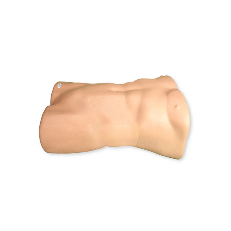 1708324057197 TAP Nerve Block Ultrasound Training Model